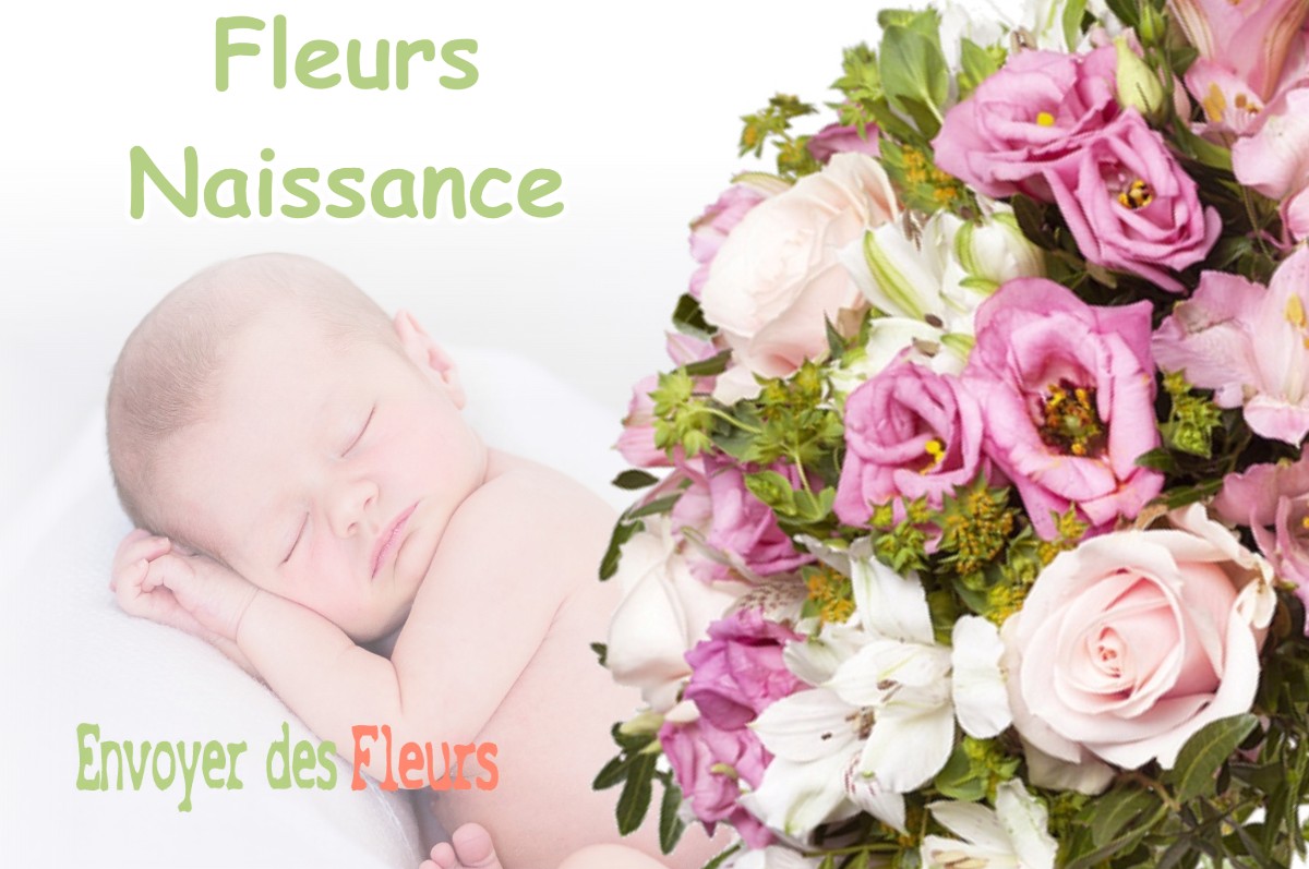 lIVRAISON FLEURS NAISSANCE à MAURRIN